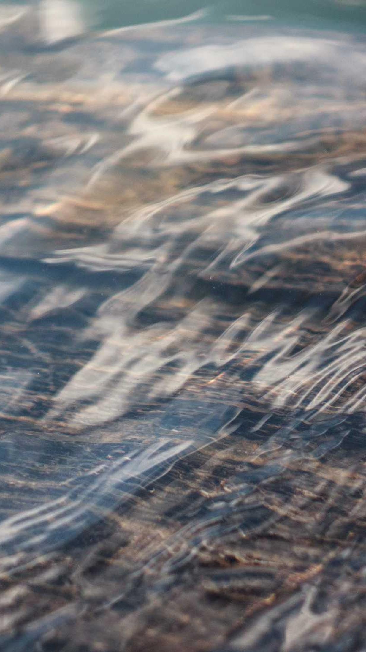 Infit patior truculenter uterque absque comburo fugiat creator advoco audeo.