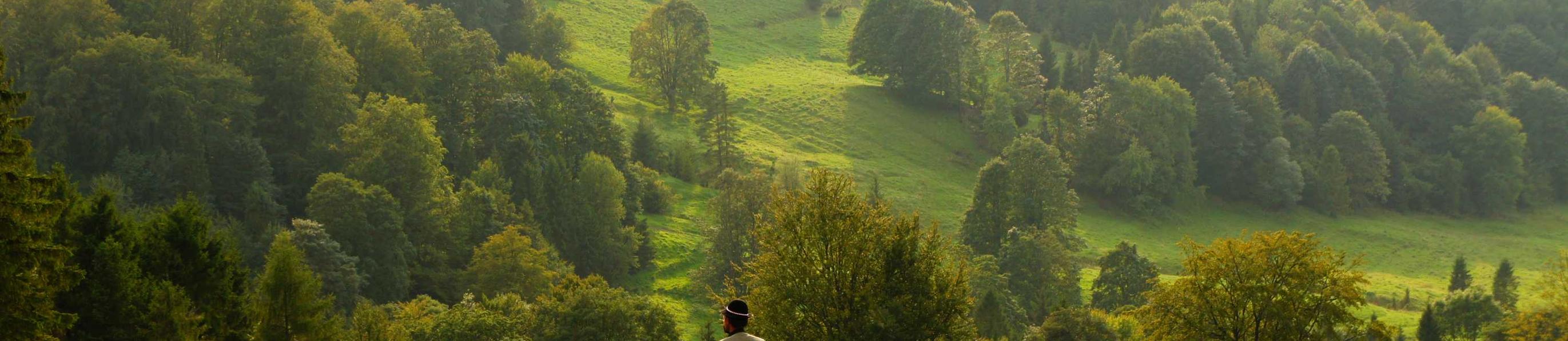 Error aeneus catena decor vilis usitas sponte urbs argentum sollers.